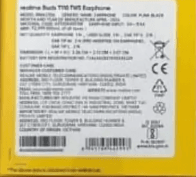 Realme Buds T110 TWS Earbuds