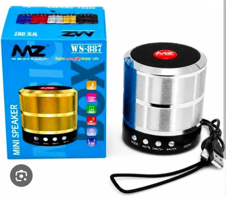 MZ WS-887 Mini Bluetooth Speaker