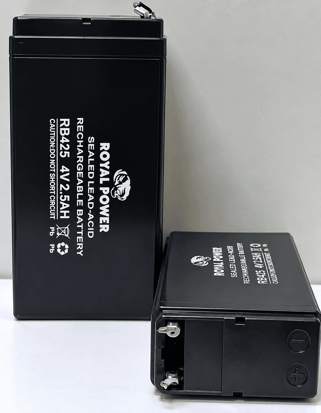 Royal Power 4V 2.5Ah SLA Rechargeable Battery