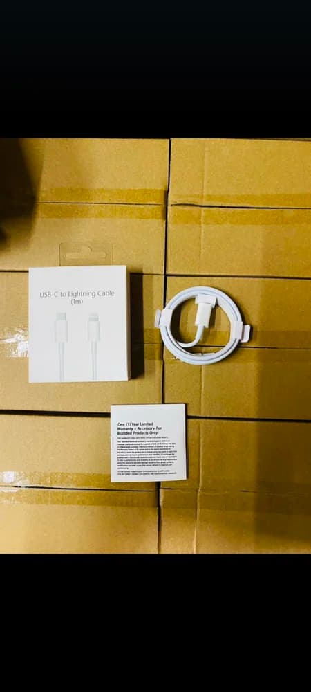 USB C to Lightning Cable